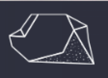 כתבות ומאמרים נוספים של יותם יזרעאלי באתר בית אבי חי